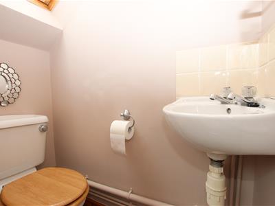Picture 15